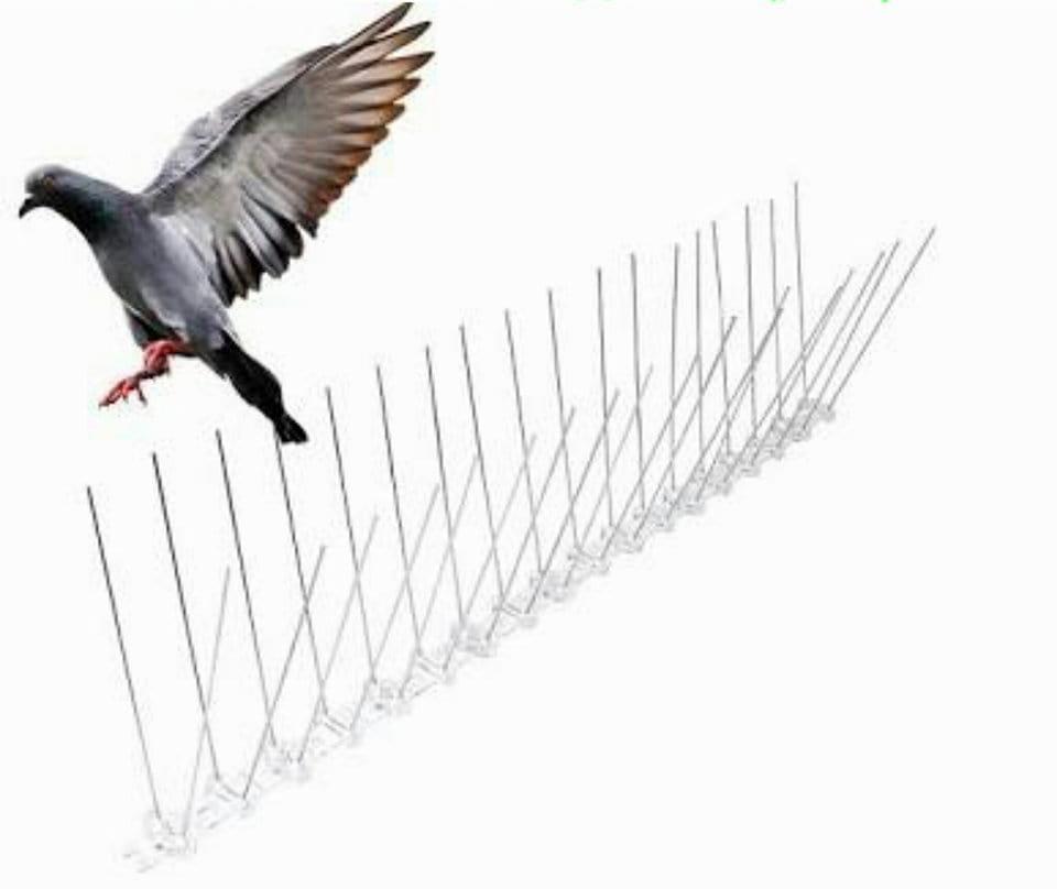 شركة تركيب طارد حمام بالمدينة المنورة 0542637185 1