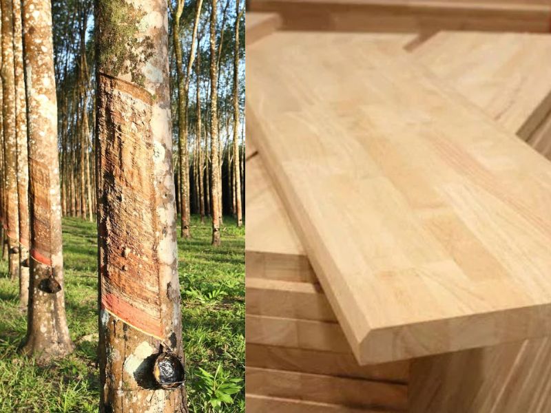 انواع الاخشاب المستخدمة في صناعة الاثاث